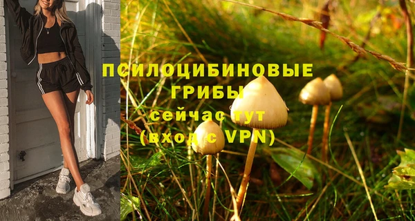 mix Аркадак