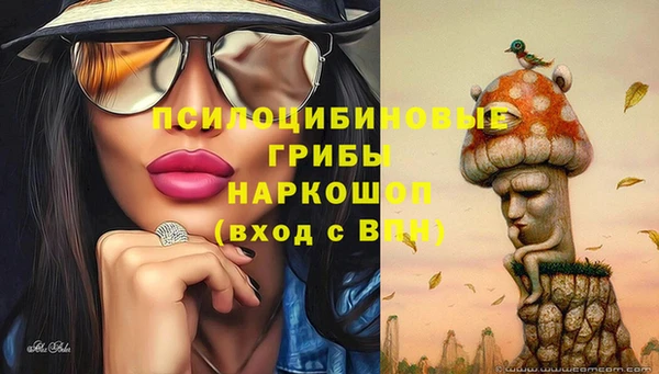 шишки Армянск