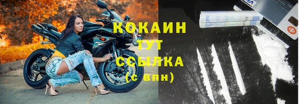 шишки Армянск