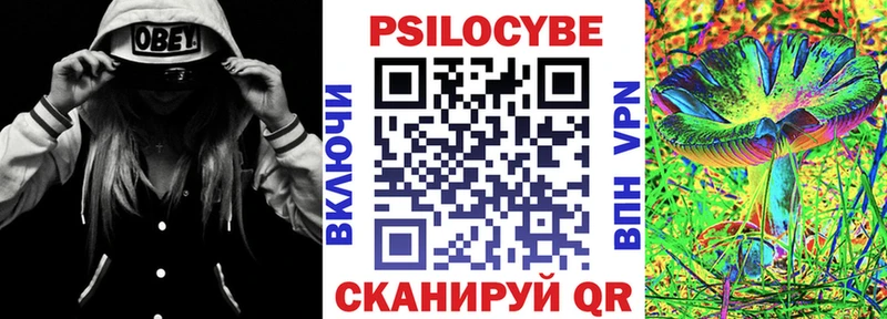 Псилоцибиновые грибы прущие грибы  купить наркотик  Новосиль 